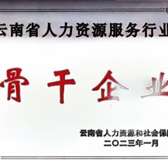 云南省人力資源服務(wù)行業(yè)骨干企業(yè)及領(lǐng)軍人物